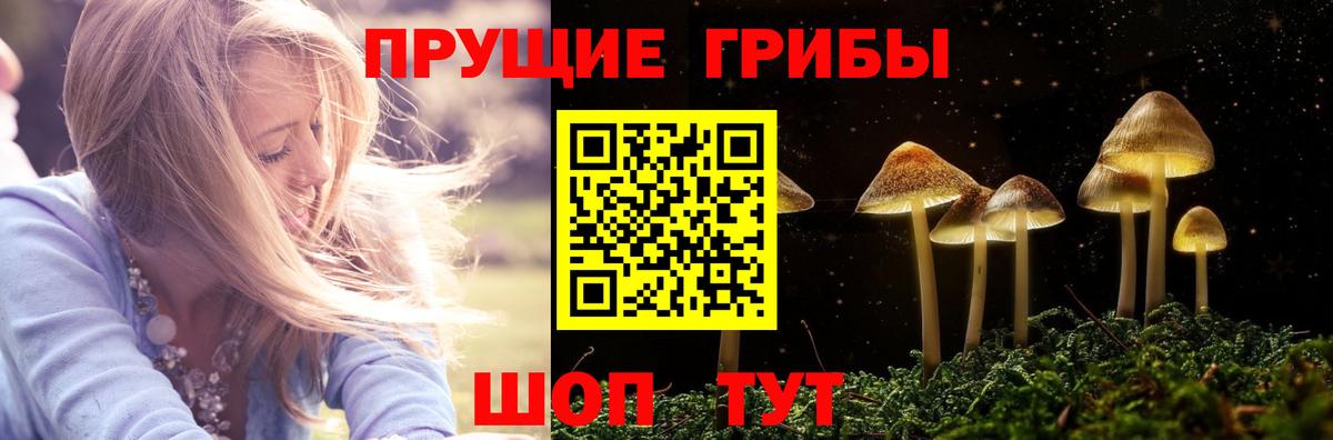Галлюциногенные грибы ЛСД Великий Устюг