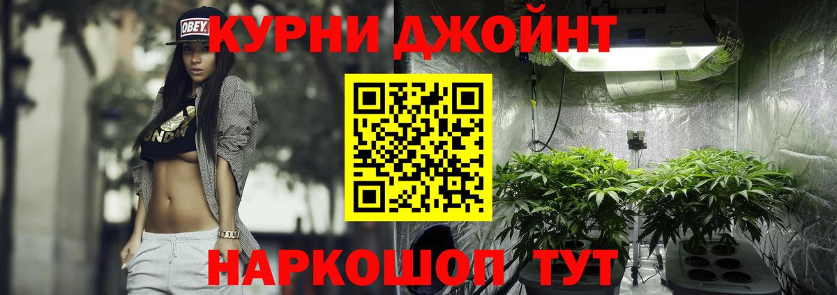 Марихуана план Великий Устюг